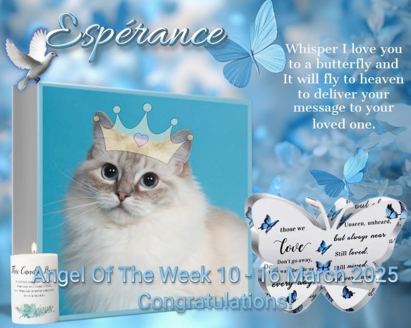 Ada uploaded   1 year/s ago