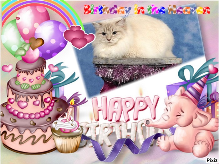 Esperance of the Ada family