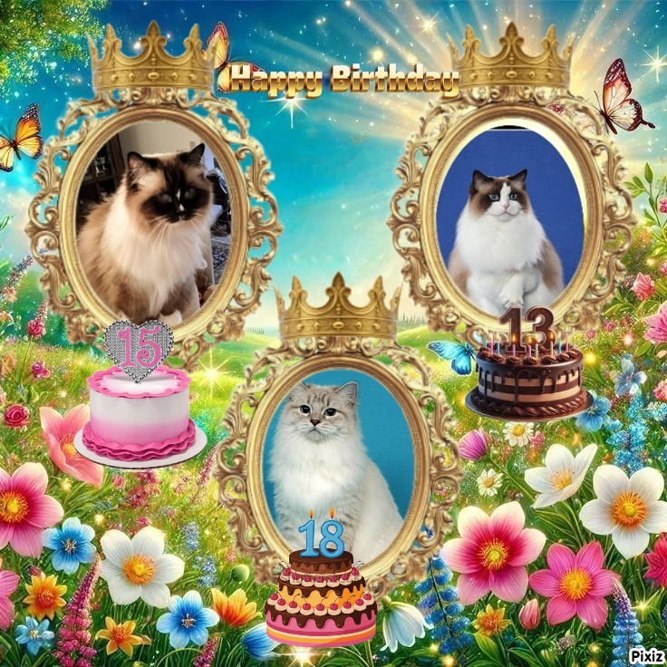 Esperance of the Ada family