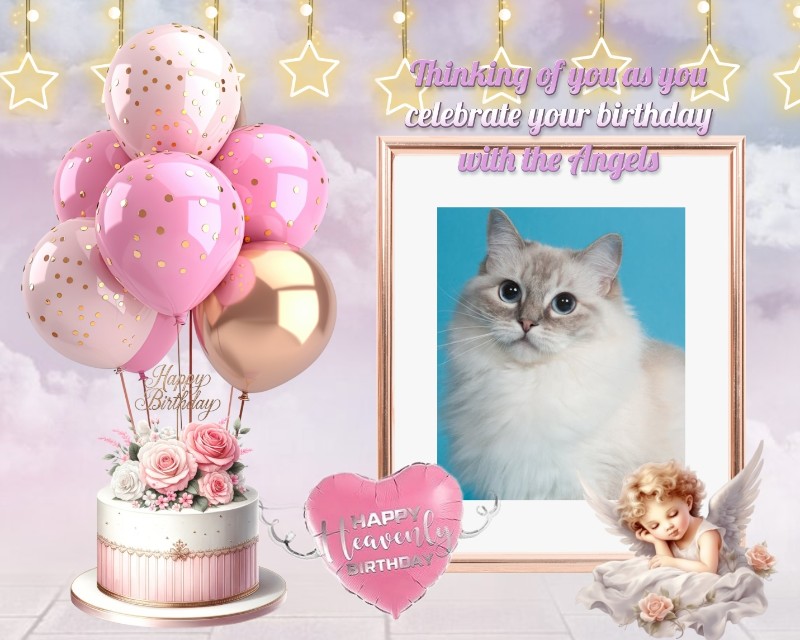 Ada uploaded   9  day/s  ago