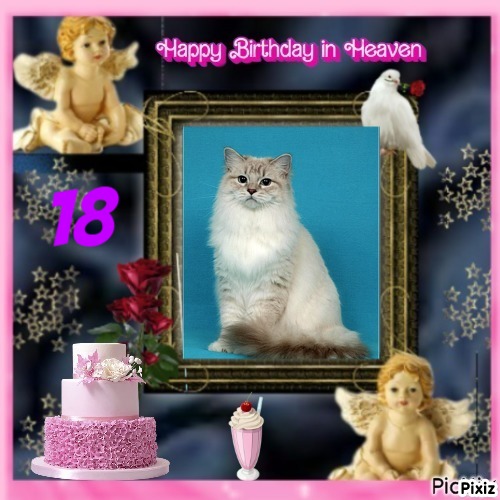 Esperance of the Ada family