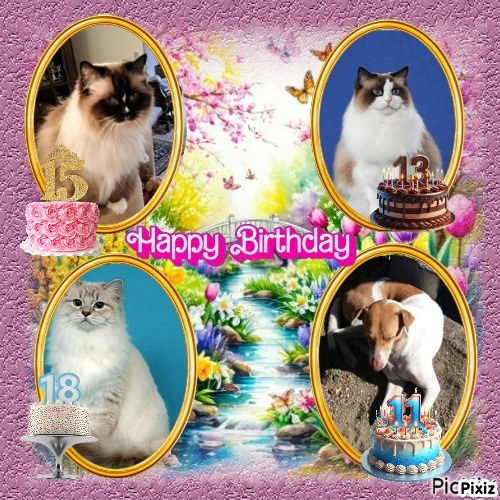 Ada uploaded   9  day/s  ago