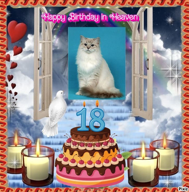 Esperance of the Ada family