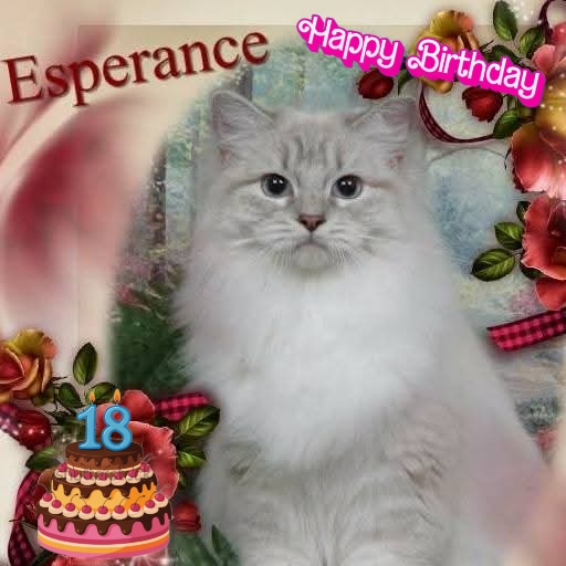 Esperance of the Ada family