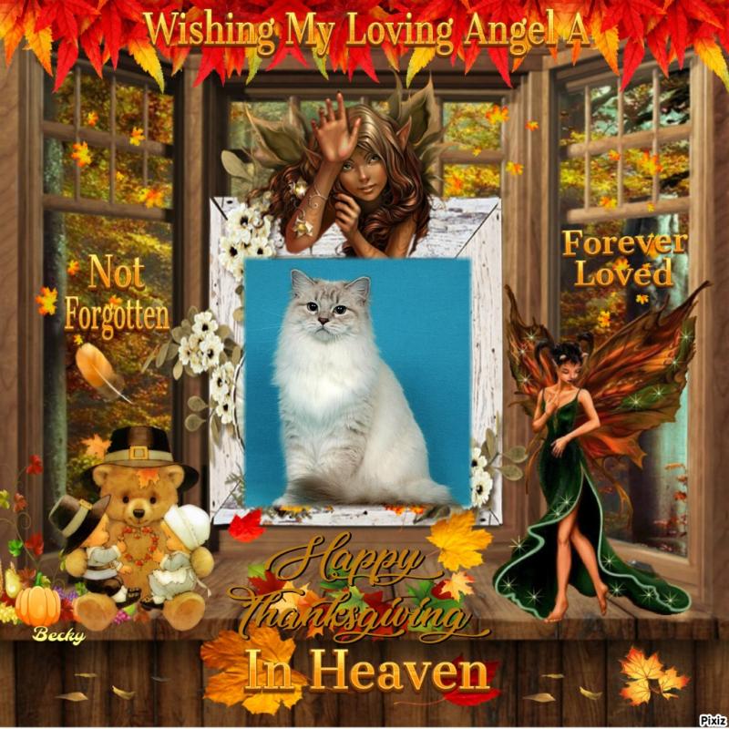 Esperance of the Ada family