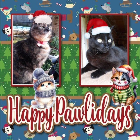 Esperance of the Ada family