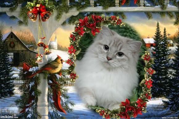 Esperance of the Ada family