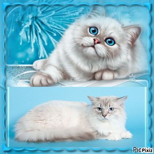 Esperance of the Ada family