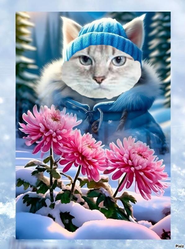 Esperance of the Ada family