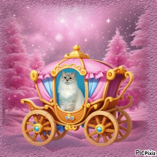 Esperance of the Ada family