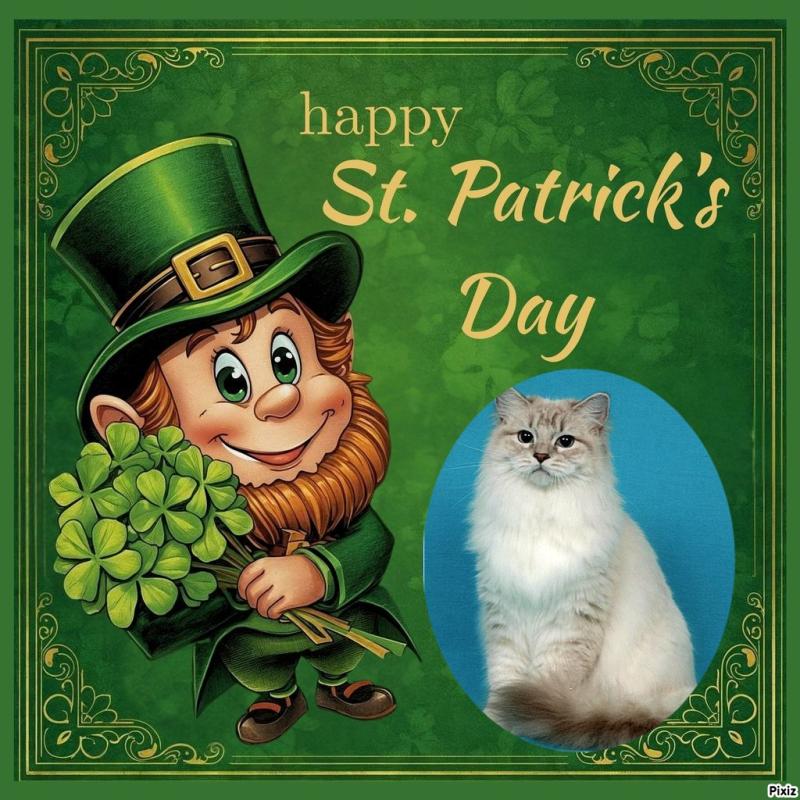 Ada uploaded   32  day/s  ago