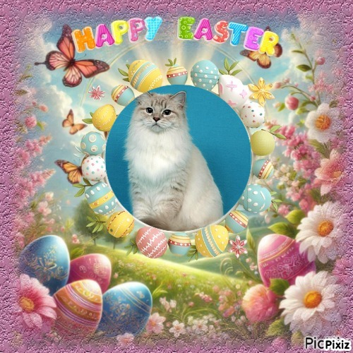 Esperance of the Ada family