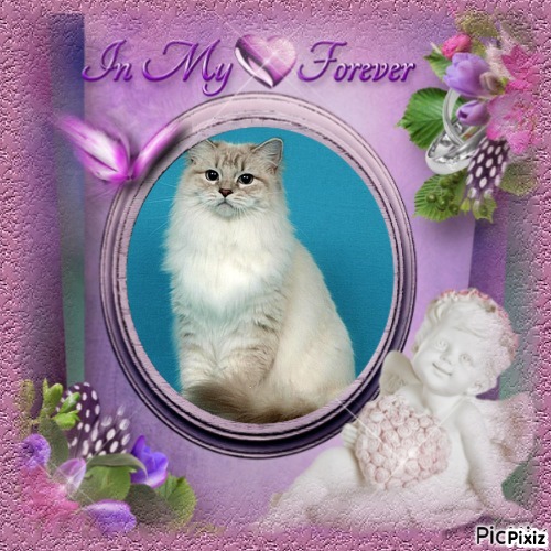 Esperance of the Ada family