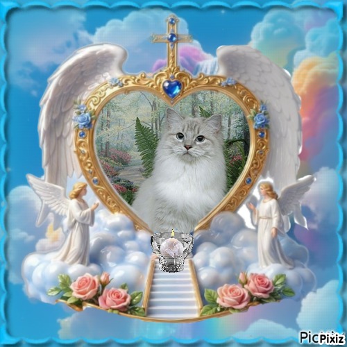Esperance of the Ada family