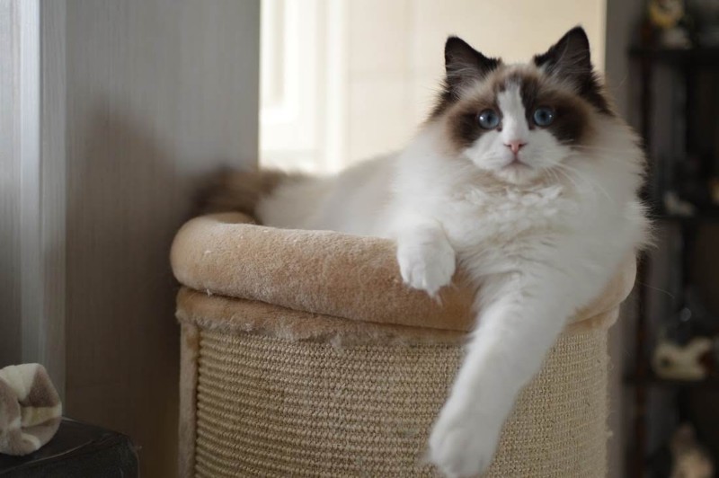 Ada uploaded   6 year/s ago