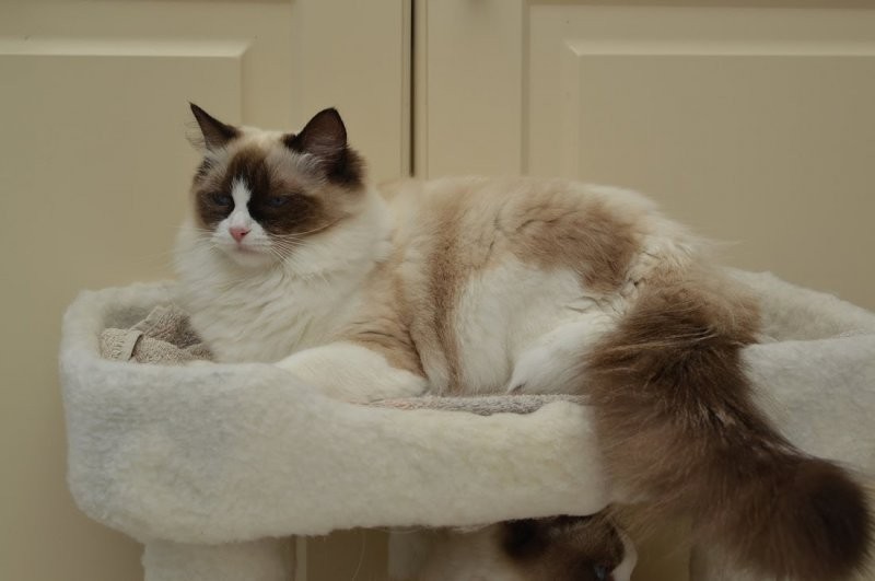 Ada uploaded   6 year/s ago