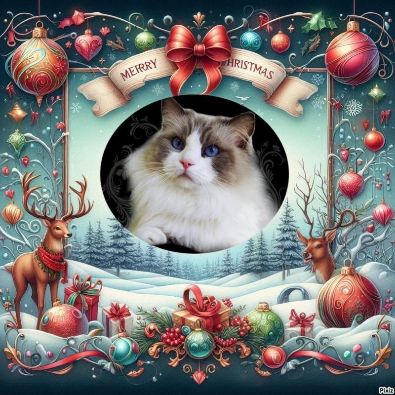 Savannah Mingh of the Ada family