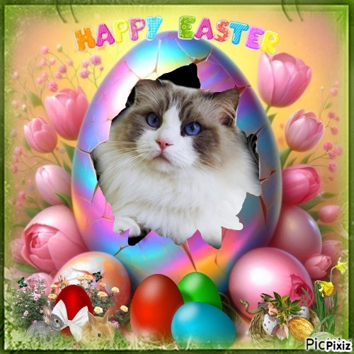 Savannah Mingh of the Ada family