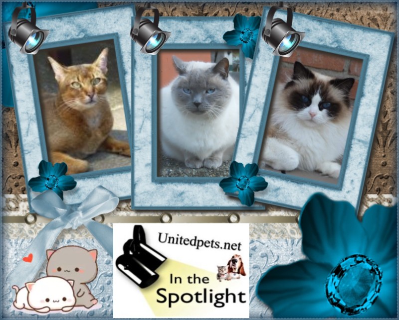 Savannah Mingh of the Ada family