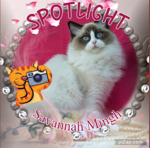 Savannah Mingh of the Ada family