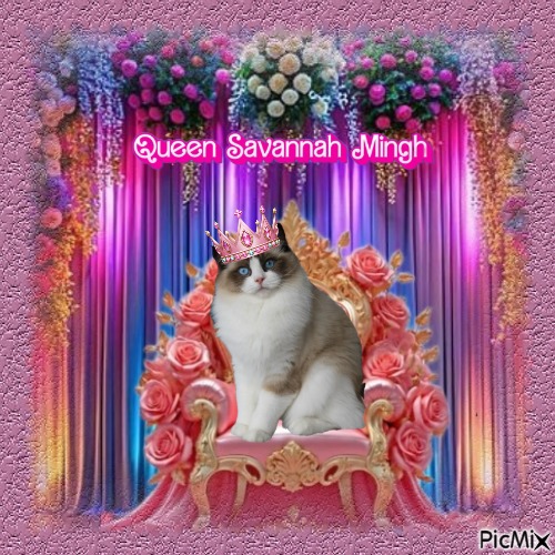 Savannah Mingh of the Ada family