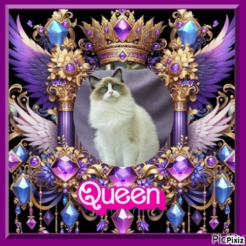 Savannah Mingh of the Ada family