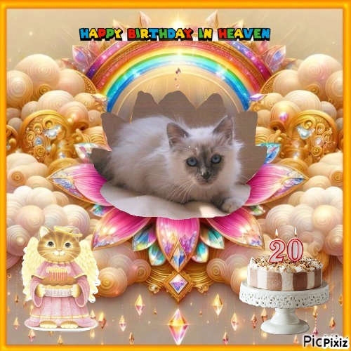 Indigo Frost of the Ada family