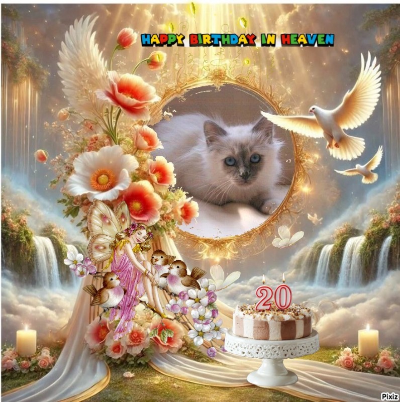 Indigo Frost of the Ada family