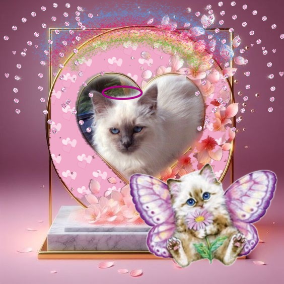 Indigo Frost of the Ada family