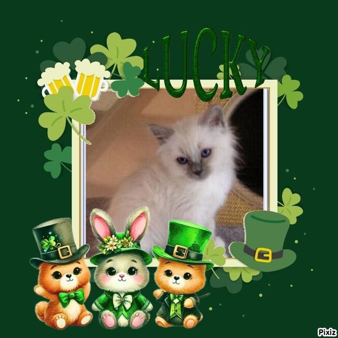 Indigo Frost of the Ada family