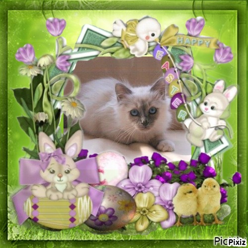 Indigo Frost of the Ada family