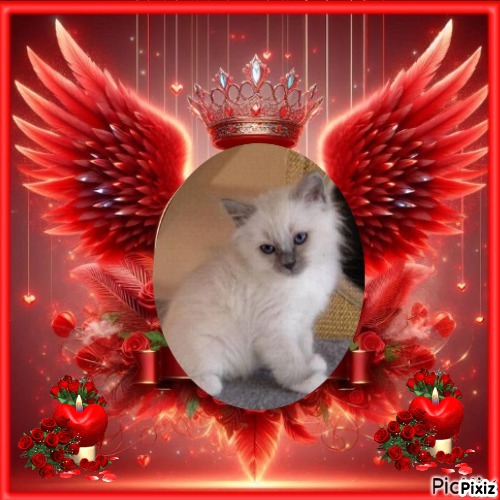 Indigo Frost of the Ada family