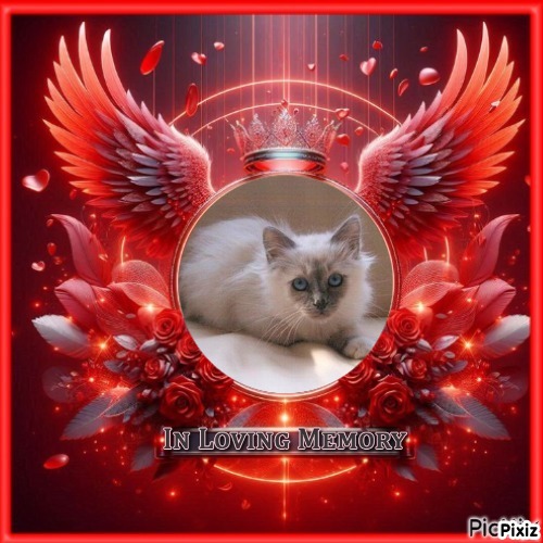 Indigo Frost of the Ada family