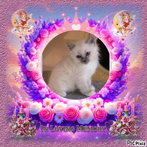 Indigo Frost of the Ada family