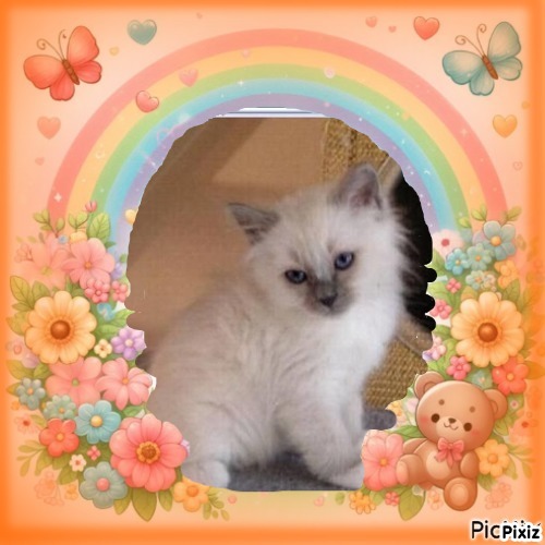 Indigo Frost of the Ada family