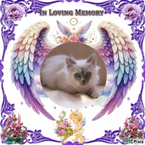 Indigo Frost of the Ada family