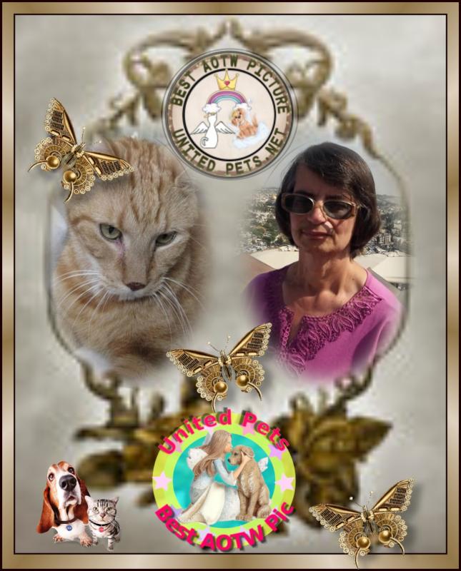 Vasthi of the Ada family