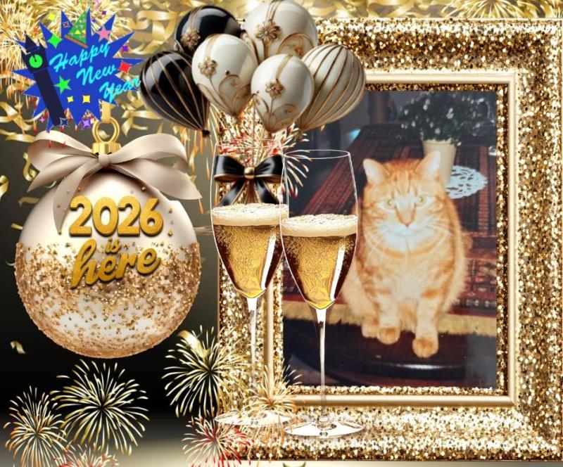 Vasthi of the Ada family