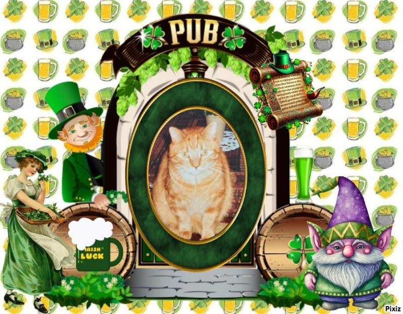 Vasthi of the Ada family