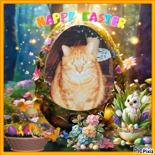 Vasthi of the Ada family