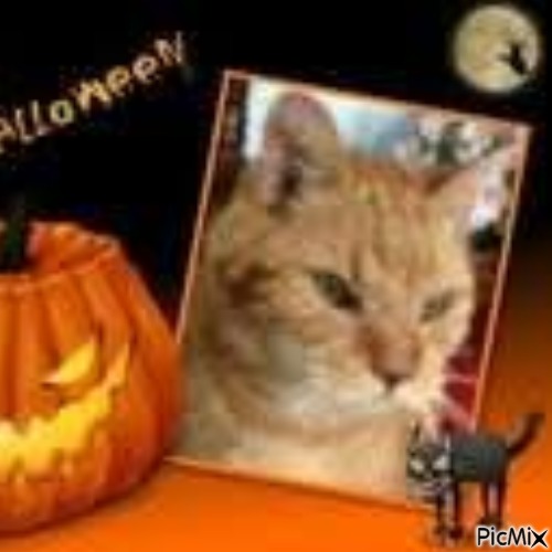 Vasthi of the Ada family