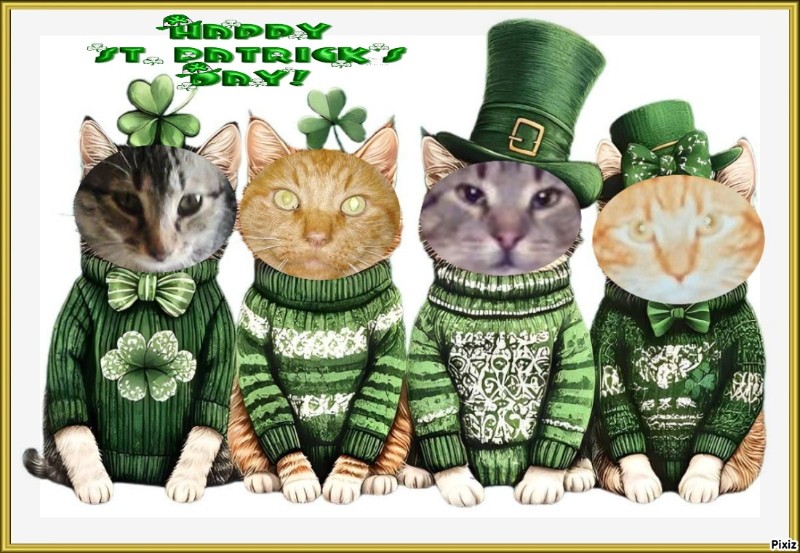 Vasthi of the Ada family