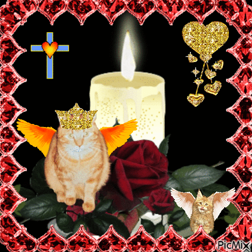 Vasthi of the Ada family