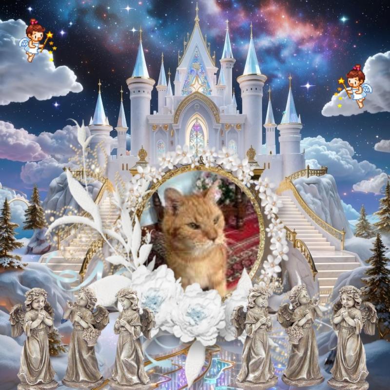 Vasthi of the Ada family