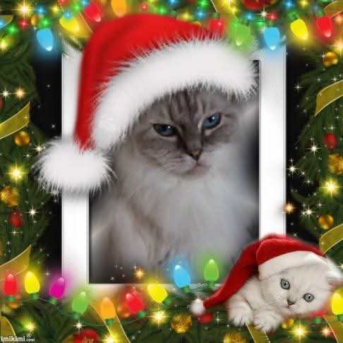 Fleurioza-manoah of the Ada family