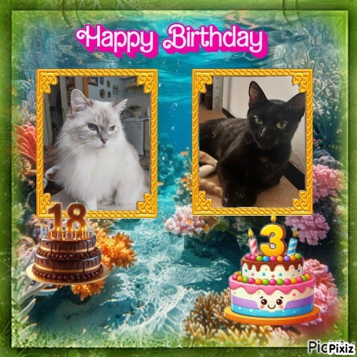 Fleurioza-manoah of the Ada family