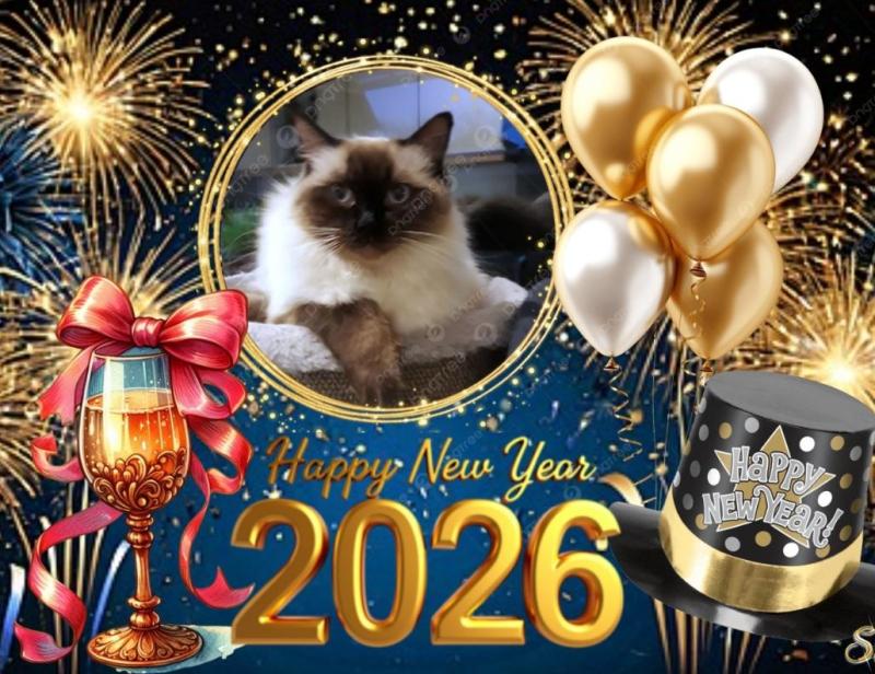 Nevach Faith of the Ada family