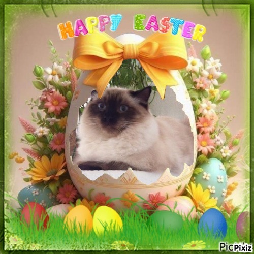 Nevach Faith of the Ada family