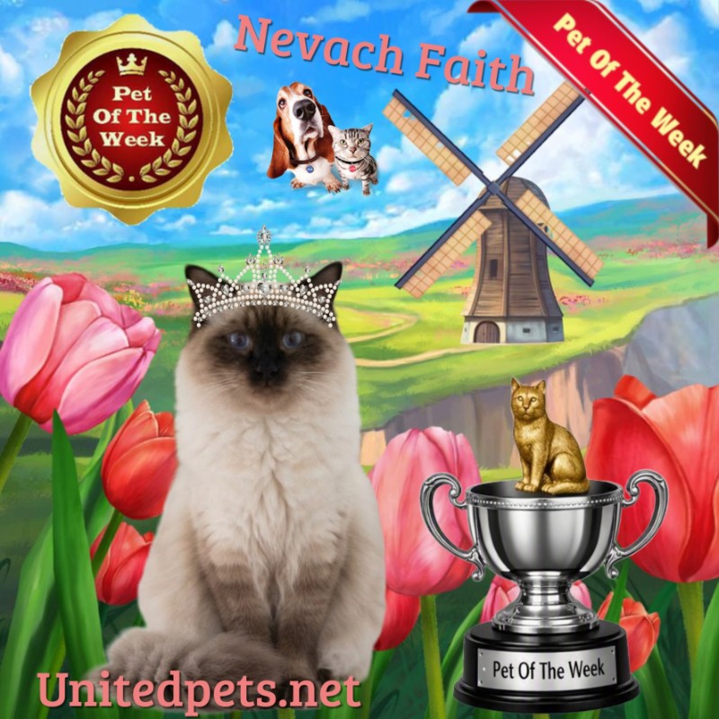 Nevach Faith of the Ada family
