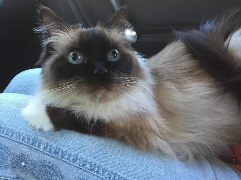 Ada uploaded   3 year/s ago